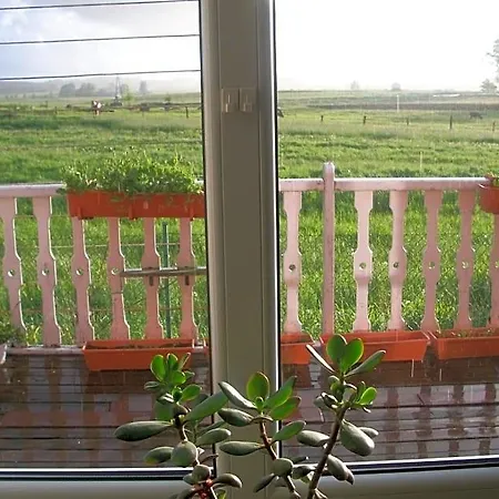 Bed and breakfast Sloneczna Weranda 3*