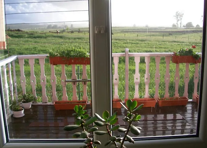 住宿加早餐酒店 Sloneczna Weranda 3*