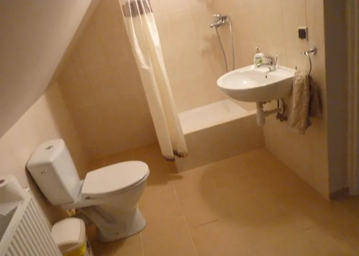 住宿加早餐酒店 Sloneczna Weranda 维德米内