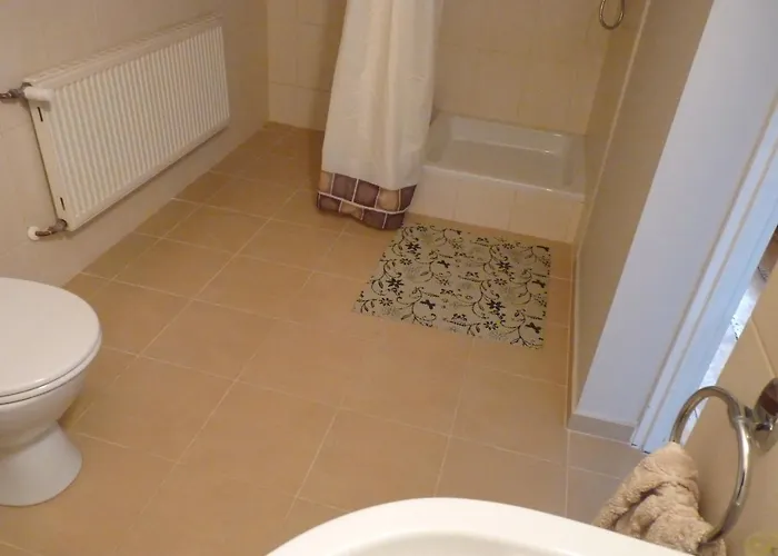 住宿加早餐酒店 Sloneczna Weranda 维德米内