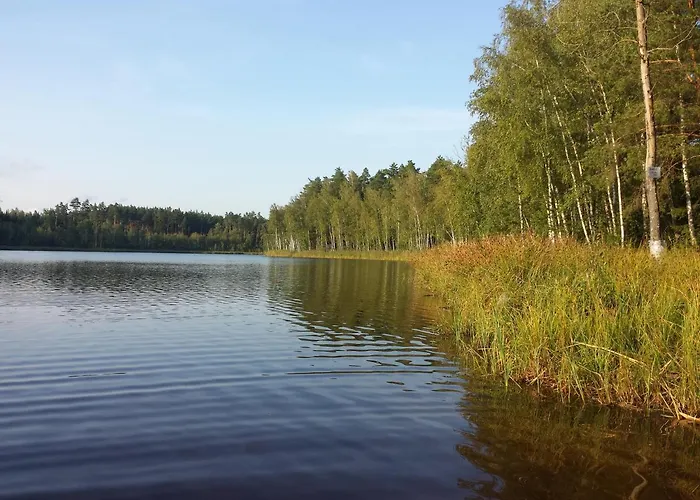 Sloneczna Weranda 住宿加早餐酒店 维德米内